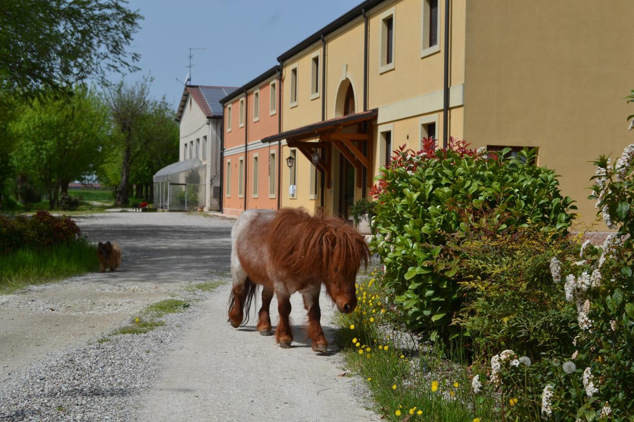 Agriturismo Otto Ducati D'Oro Изола-делла-Скала Экстерьер фото